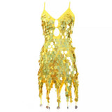 Brighter Than Bright Sequin Tassel Mini Dress - Fashion Genie Boutique