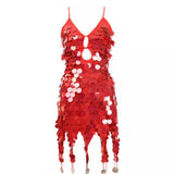 Brighter Than Bright Sequin Tassel Mini Dress - Fashion Genie Boutique