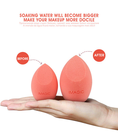 Blender Foundation Sponge (3 Pack) - Fashion Genie Boutique