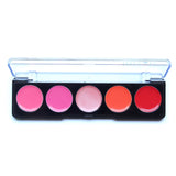 5 Color Lipstick Palette - Fashion Genie Boutique