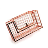 Women’s Metal Cage Handbag - Fashion Genie Boutique
