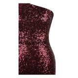 Oh My Posh Burgundy & Silver Sequin Gradient One Shoulder Maxi Gown Dress - Fashion Genie Boutique