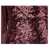 Oh My Posh Burgundy & Silver Sequin Gradient One Shoulder Maxi Gown Dress - Fashion Genie Boutique