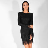 Pretty Perspective Black Glitter Embellished Long Sleeve Feather Dress - Fashion Genie Boutique