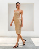 Little Dancer Gold Glitter Embellished Strapless Midi Dress - Fashion Genie Boutique