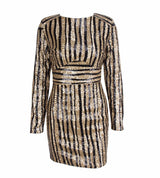 Glitter And Gold Sequin Stripe Long Sleeve Mini Dress - Fashion Genie Boutique