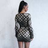 Meagan Black Feather Long Sleeve Mini Dress - Fashion Genie Boutique