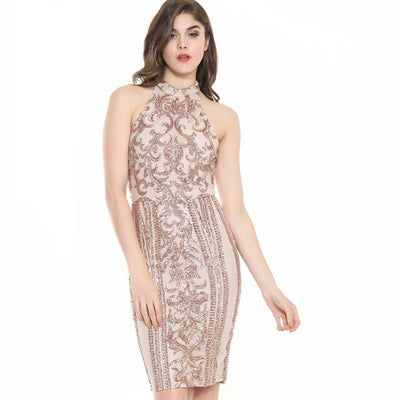 Livin' The Life Nude And Rose Gold Sequin Mini Dress - Fashion Genie Boutique