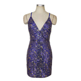 Make An Entrance Rose Gold Sequin Mini Dress - Fashion Genie Boutique